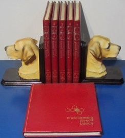 ENCICLOPEDIA JUVENIL BASICA 6 VOLUMENES